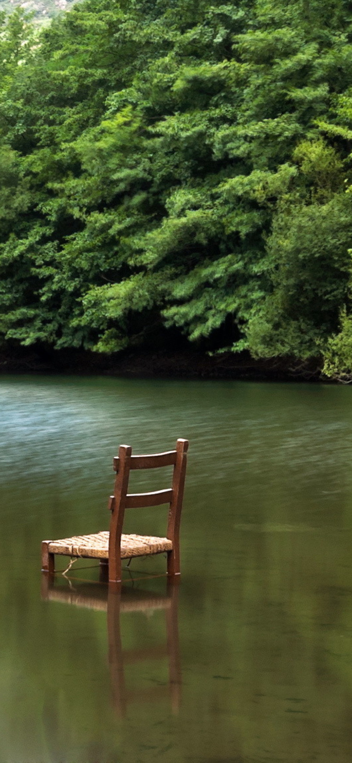 Das Chair In Middle Of Pieceful Lake Wallpaper 1170x2532