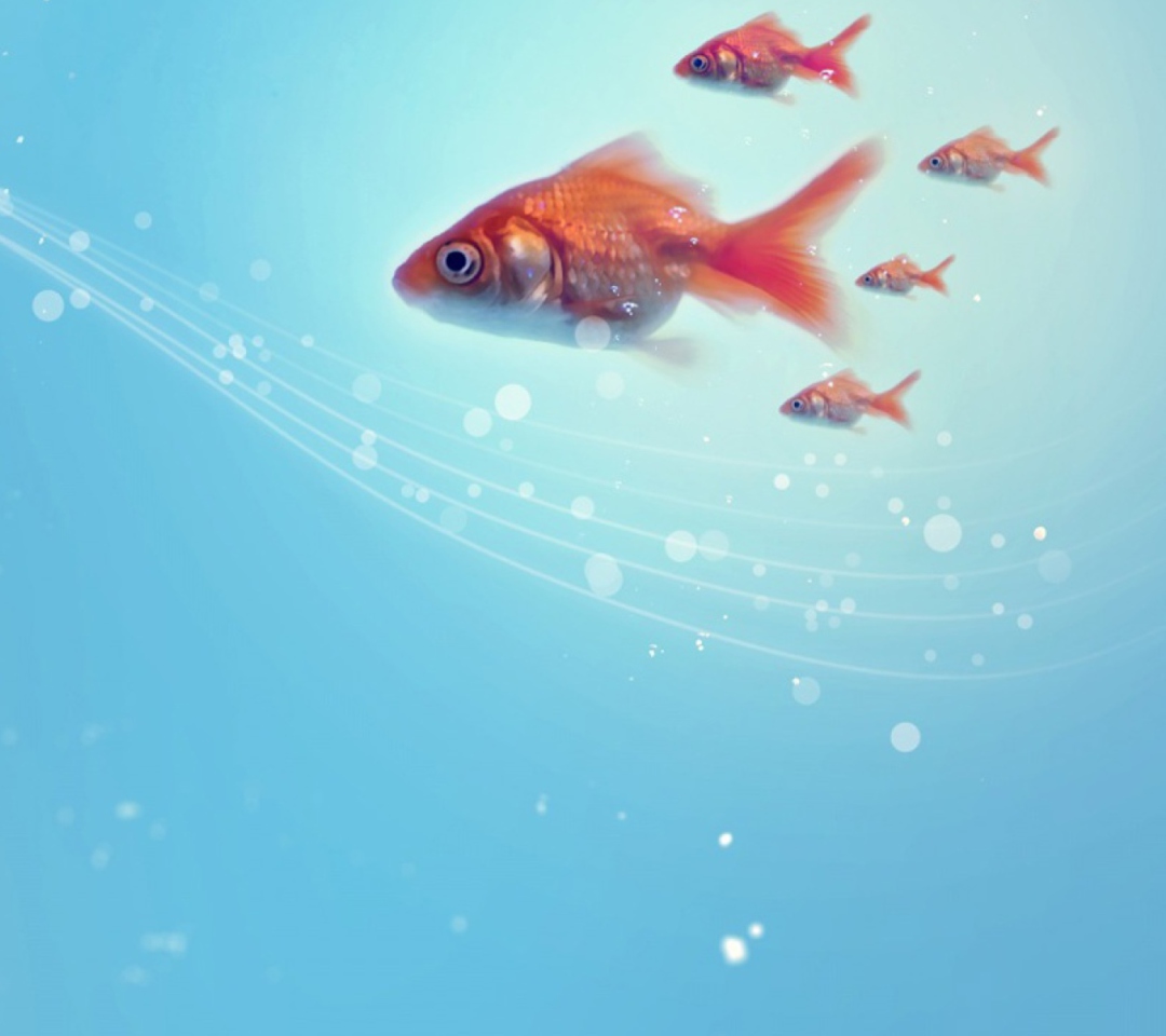 Das Goldfish Wallpaper 1080x960