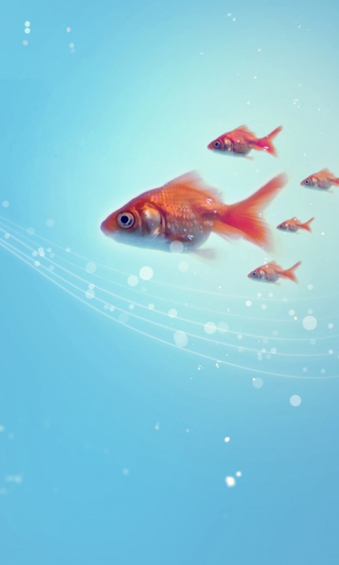 Fondo de pantalla Goldfish 480x800