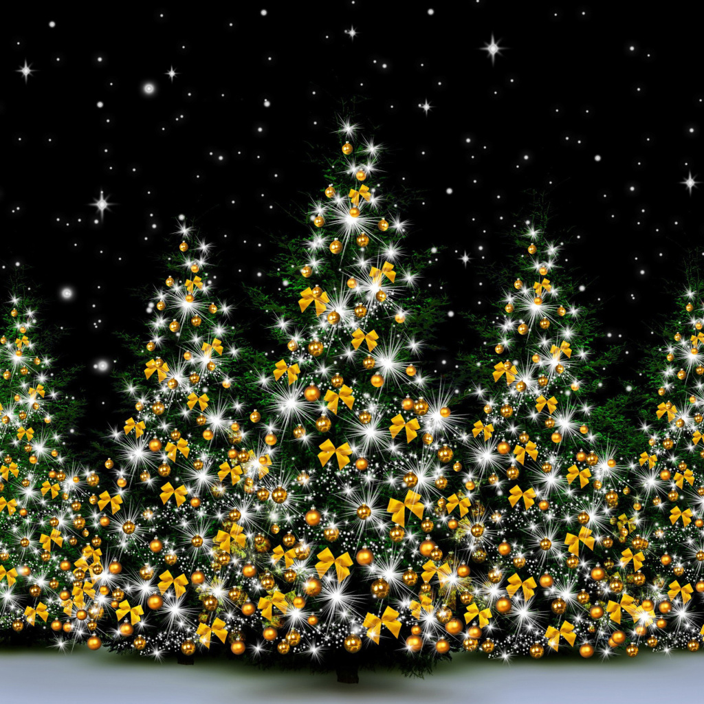 Fondo de pantalla Christmas Trees in Light 1024x1024