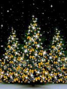 Christmas Trees in Light wallpaper 132x176