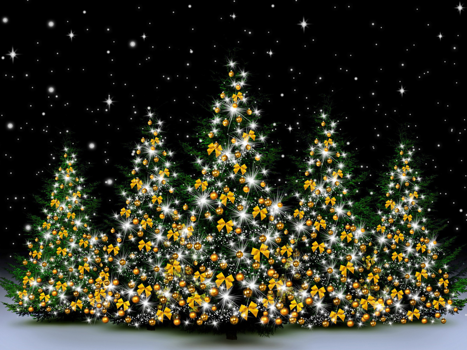 Обои Christmas Trees in Light 1600x1200