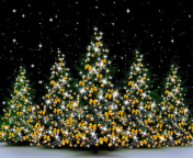 Das Christmas Trees in Light Wallpaper 176x144