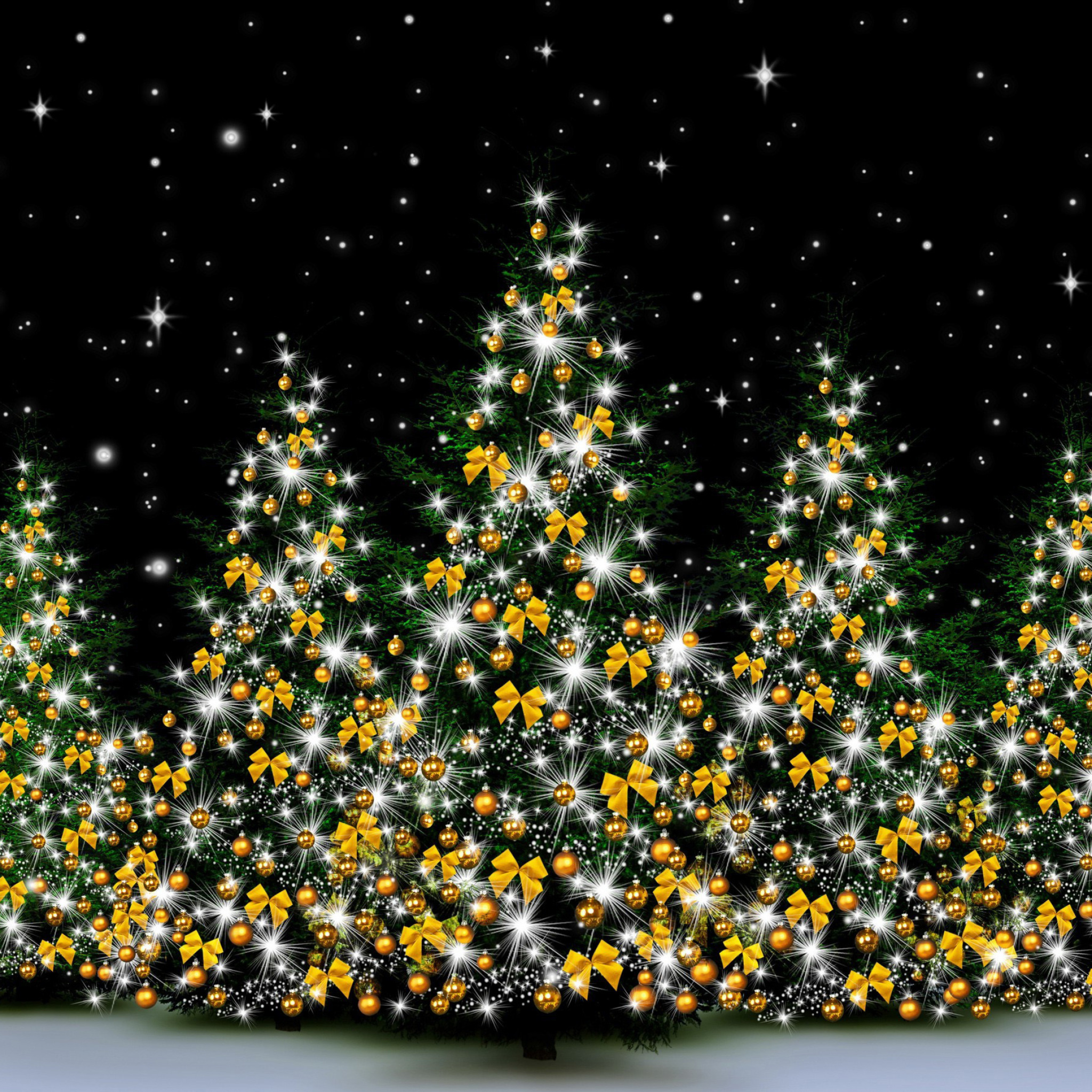 Обои Christmas Trees in Light 2048x2048