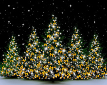 Fondo de pantalla Christmas Trees in Light 220x176