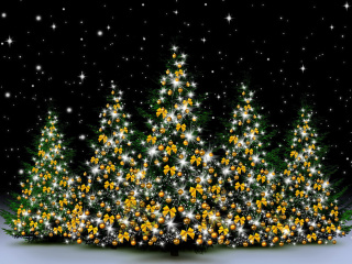 Обои Christmas Trees in Light 320x240