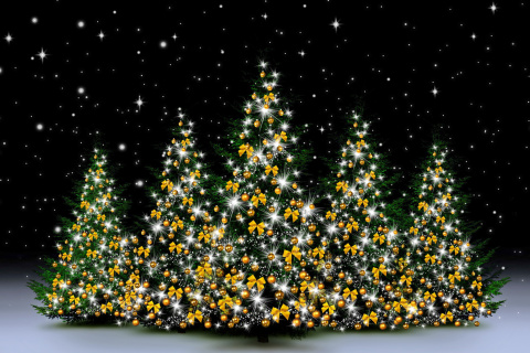 Обои Christmas Trees in Light 480x320