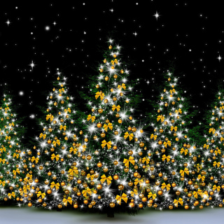 Christmas Trees in Light - Obrázkek zdarma pro iPad Air