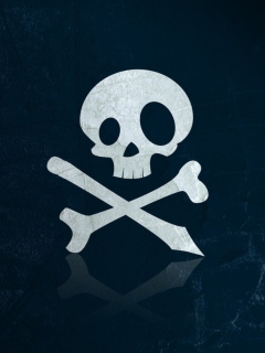 Screenshot №1 pro téma Skull And Bones 240x320