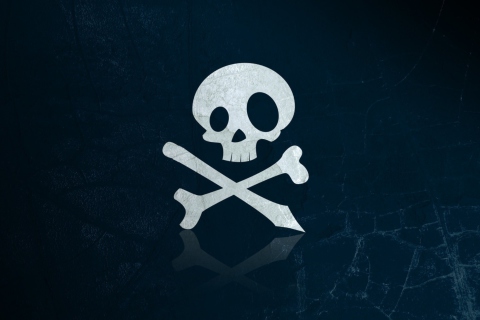 Fondo de pantalla Skull And Bones 480x320