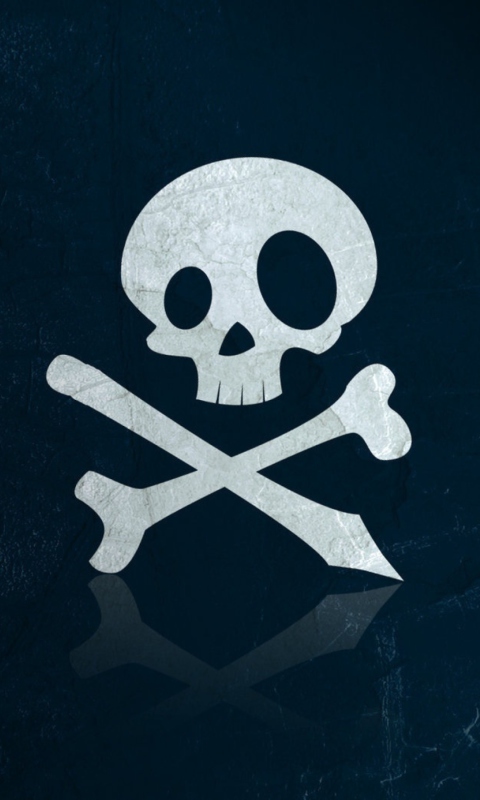 Screenshot №1 pro téma Skull And Bones 480x800