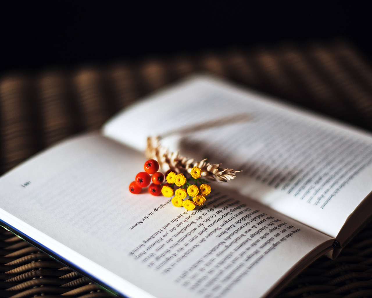Berries And Flowers On Book wallpaper 1280x1024