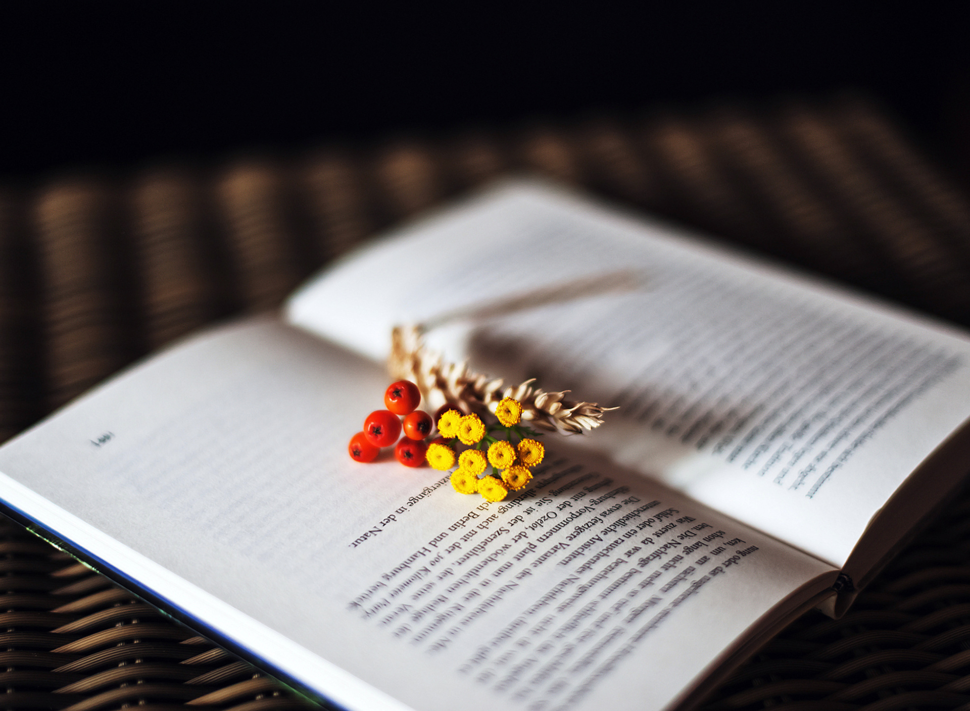 Berries And Flowers On Book wallpaper 1920x1408