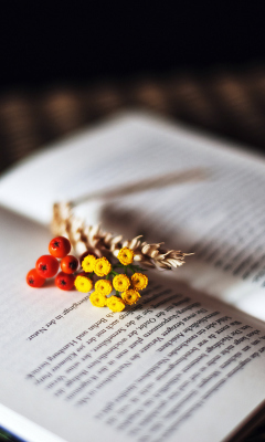 Berries And Flowers On Book wallpaper 240x400