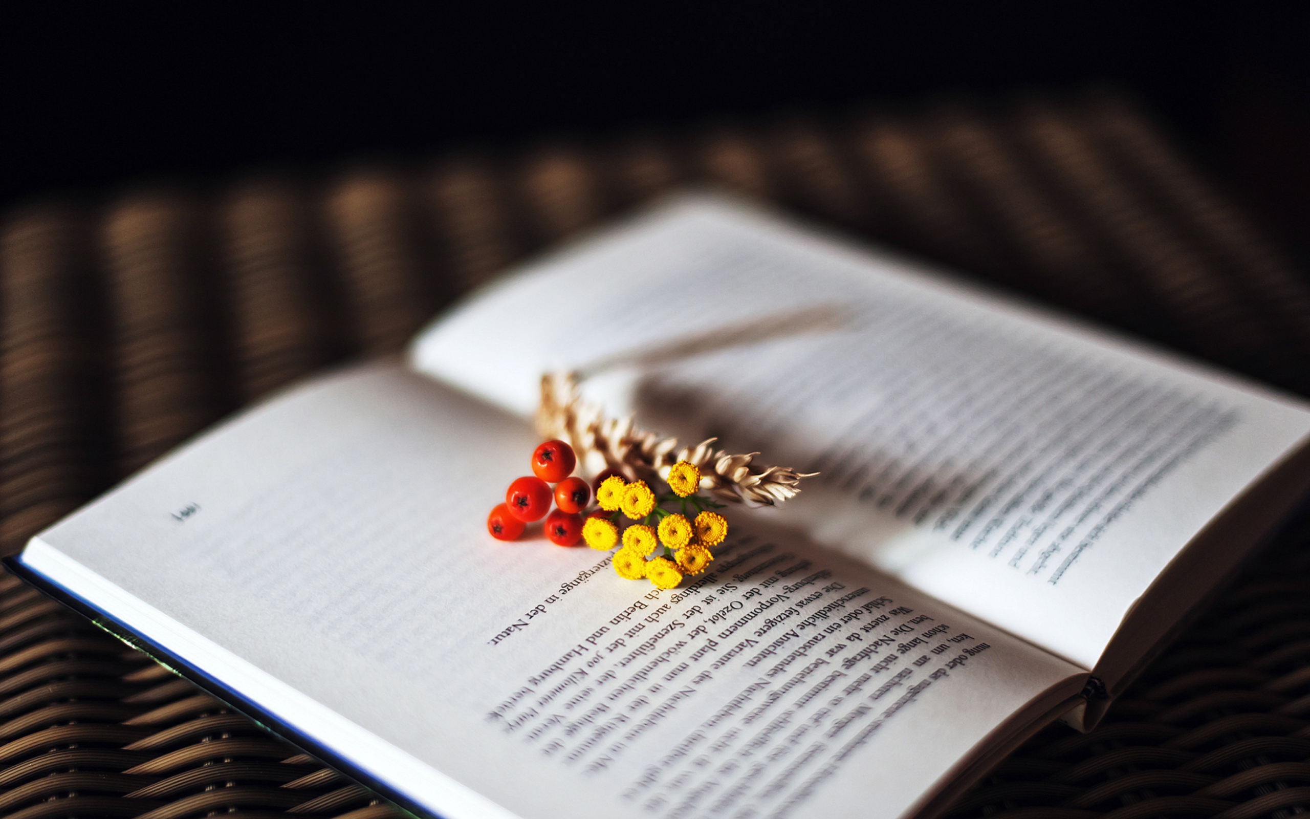 Berries And Flowers On Book wallpaper 2560x1600