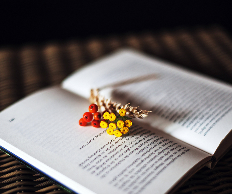 Berries And Flowers On Book wallpaper 960x800