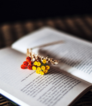 Berries And Flowers On Book - Obrázkek zdarma pro Nokia Asha 503