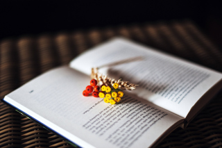 Berries And Flowers On Book - Obrázkek zdarma 