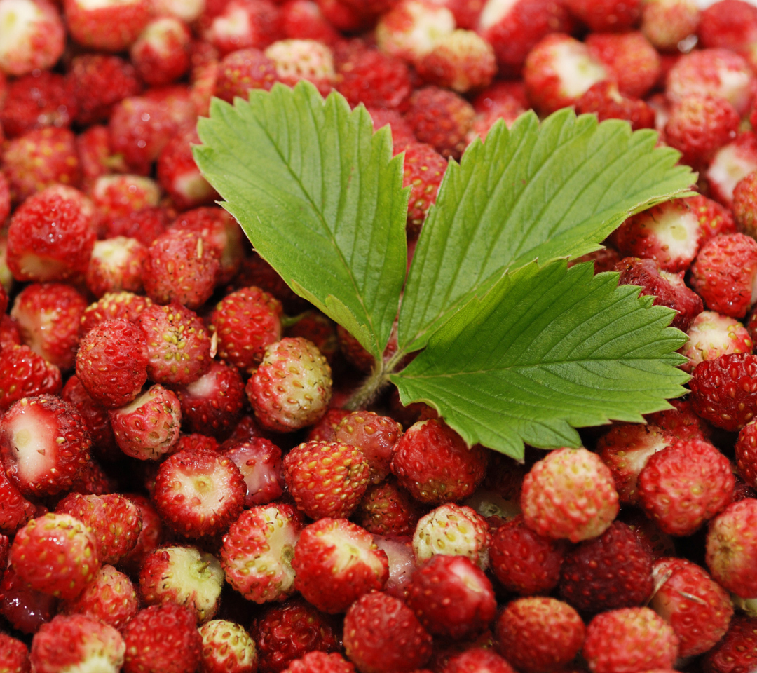Das Wild Strawberry Wallpaper 1080x960