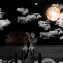 Moonlight Night screenshot #1 208x208