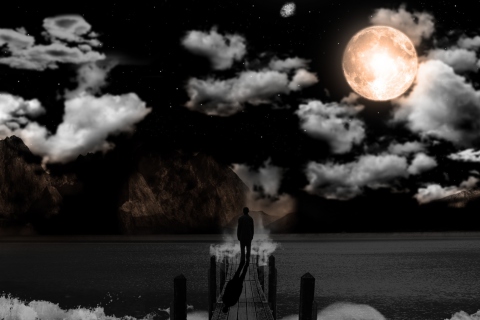 Moonlight Night screenshot #1 480x320
