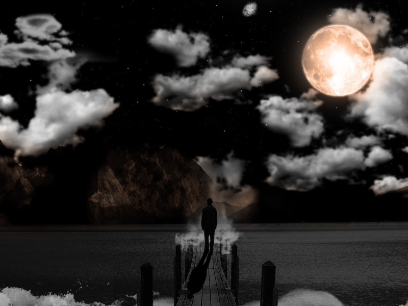 Moonlight Night screenshot #1 800x600