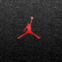 Air Jordan wallpaper 208x208
