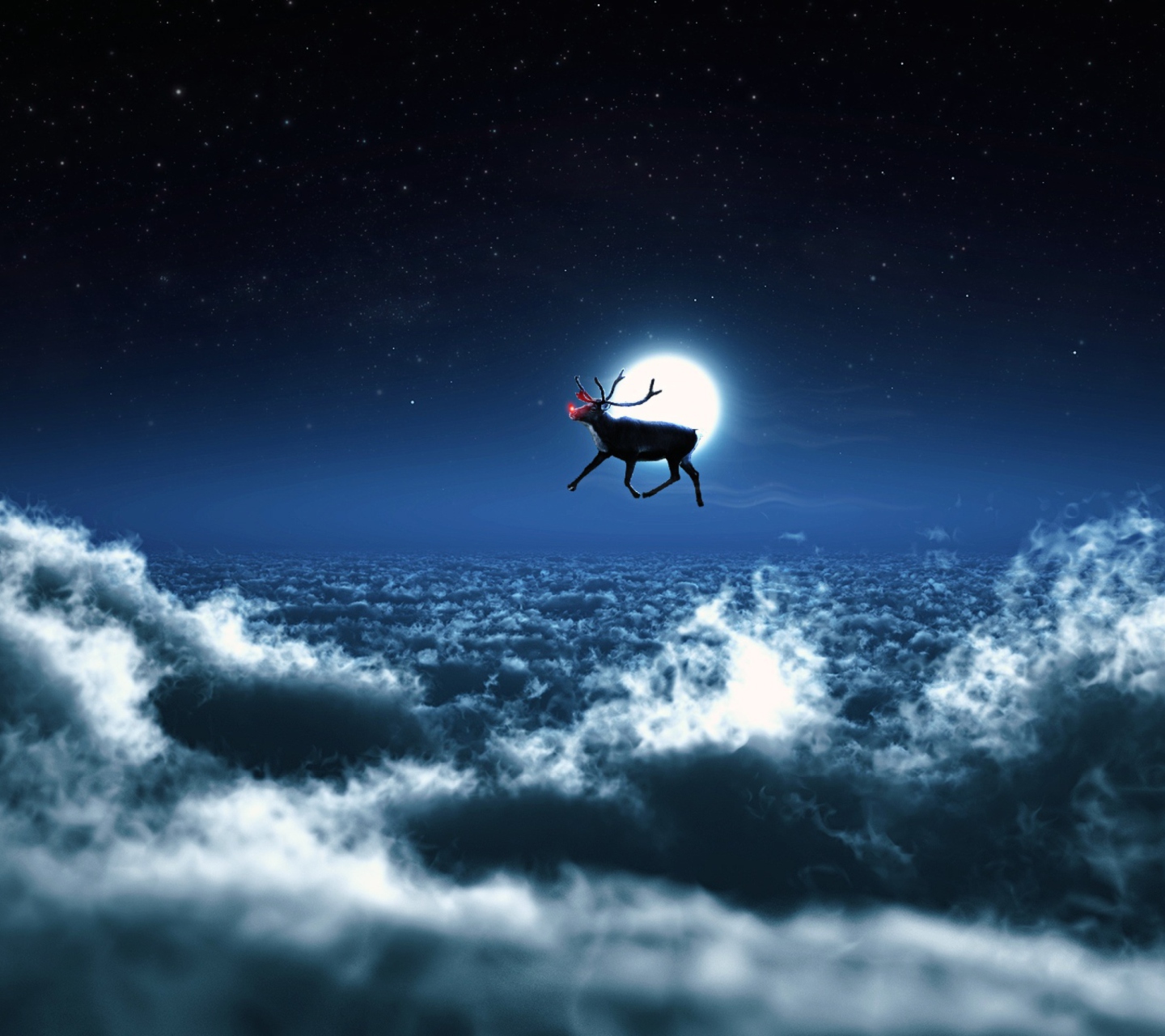 Santa's Reindeer wallpaper 1440x1280