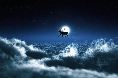 Fondo de pantalla Santa's Reindeer 480x320