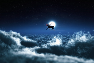 Santa's Reindeer - Obrázkek zdarma pro 2560x1600