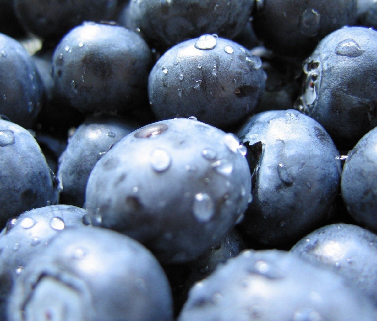 Sfondi Blueberries 1200x1024