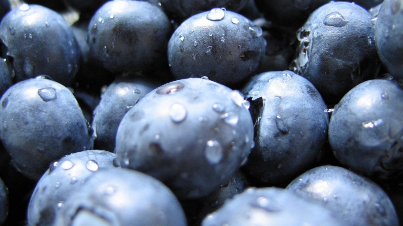Das Blueberries Wallpaper 1280x720