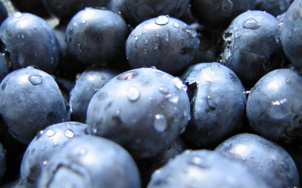 Das Blueberries Wallpaper 1280x800