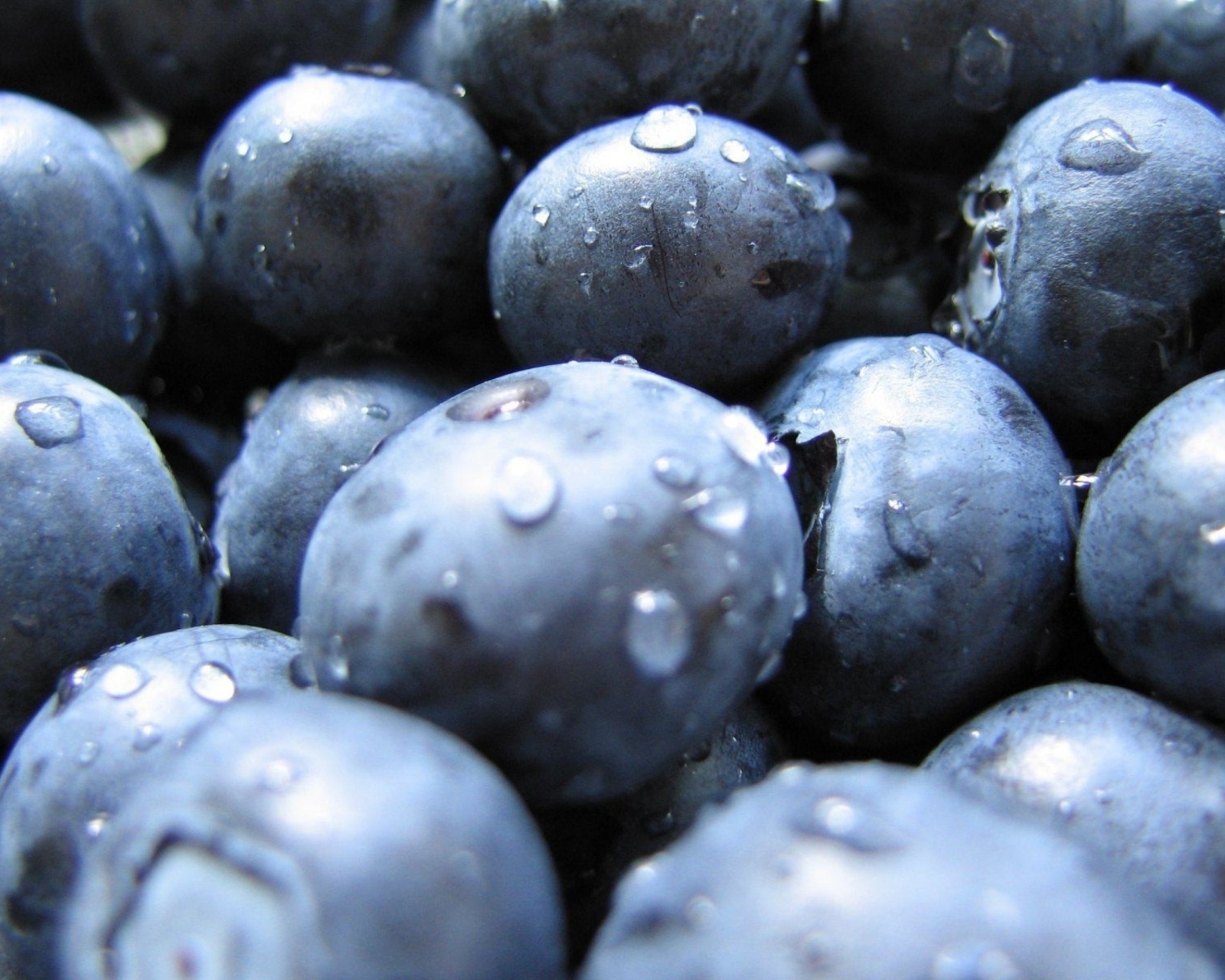Sfondi Blueberries 1600x1280