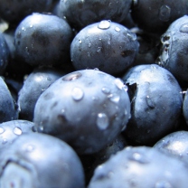 Blueberries wallpaper 208x208