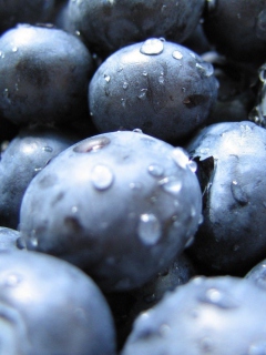 Fondo de pantalla Blueberries 240x320