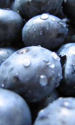 Blueberries screenshot #1 240x400