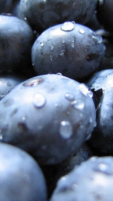 Blueberries wallpaper 360x640