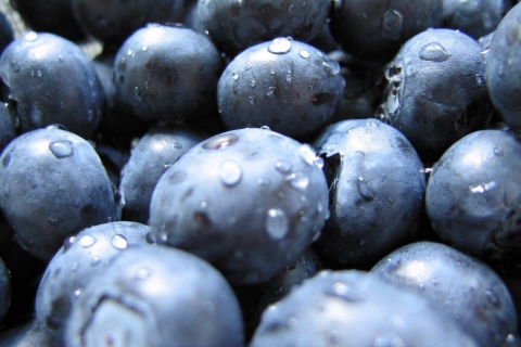 Blueberries wallpaper 480x320