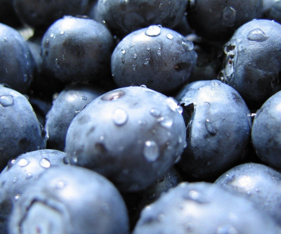 Das Blueberries Wallpaper 960x800