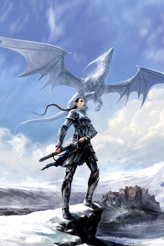 Das Arcane Elven Warrior in Armor Wallpaper 320x480