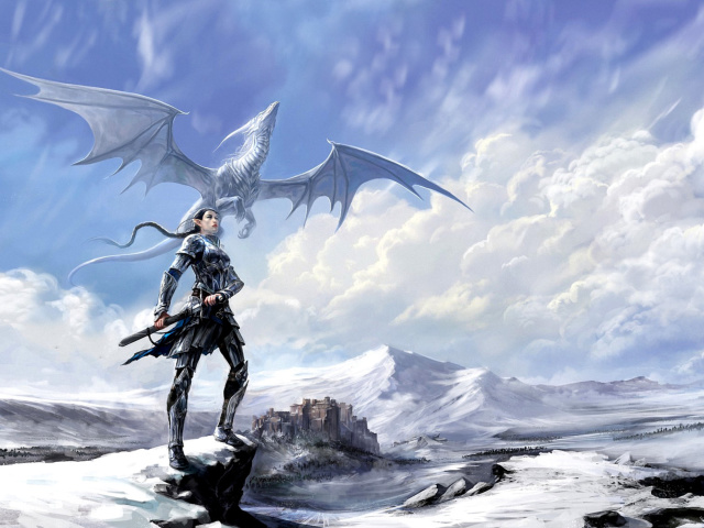 Arcane Elven Warrior in Armor wallpaper 640x480