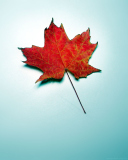 Das Autumn Leaf Wallpaper 128x160