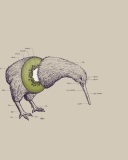 Das Kiwi Bird Wallpaper 128x160