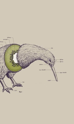 Das Kiwi Bird Wallpaper 240x400