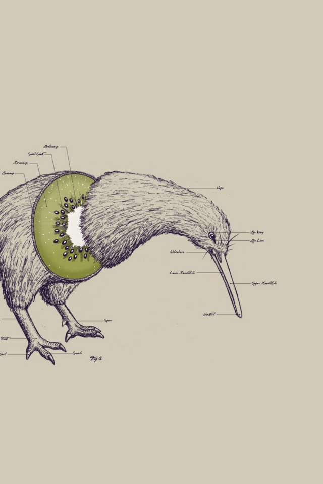 Das Kiwi Bird Wallpaper 640x960