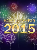 Sfondi New Year Fireworks 2015 132x176