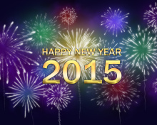 New Year Fireworks 2015 wallpaper 220x176