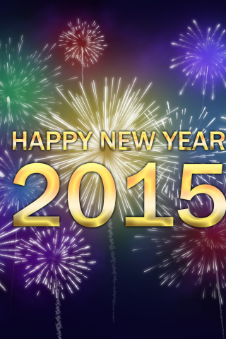Das New Year Fireworks 2015 Wallpaper 320x480
