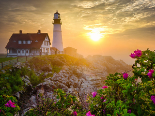 Das Lighthouse In Morning Mist Wallpaper 320x240